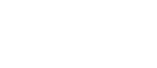 ANZSVS Logo