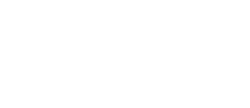 World Federation of Vascular Societies Logo